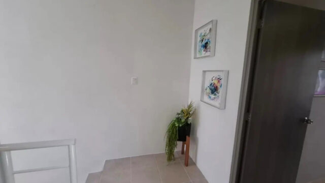 9. Planta alta