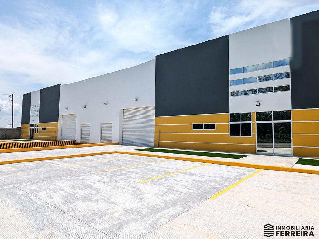 1. Frente