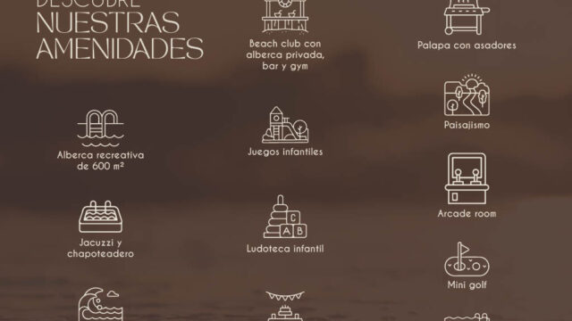 11. Amenidades