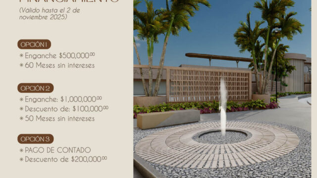 12. Financiamiento
