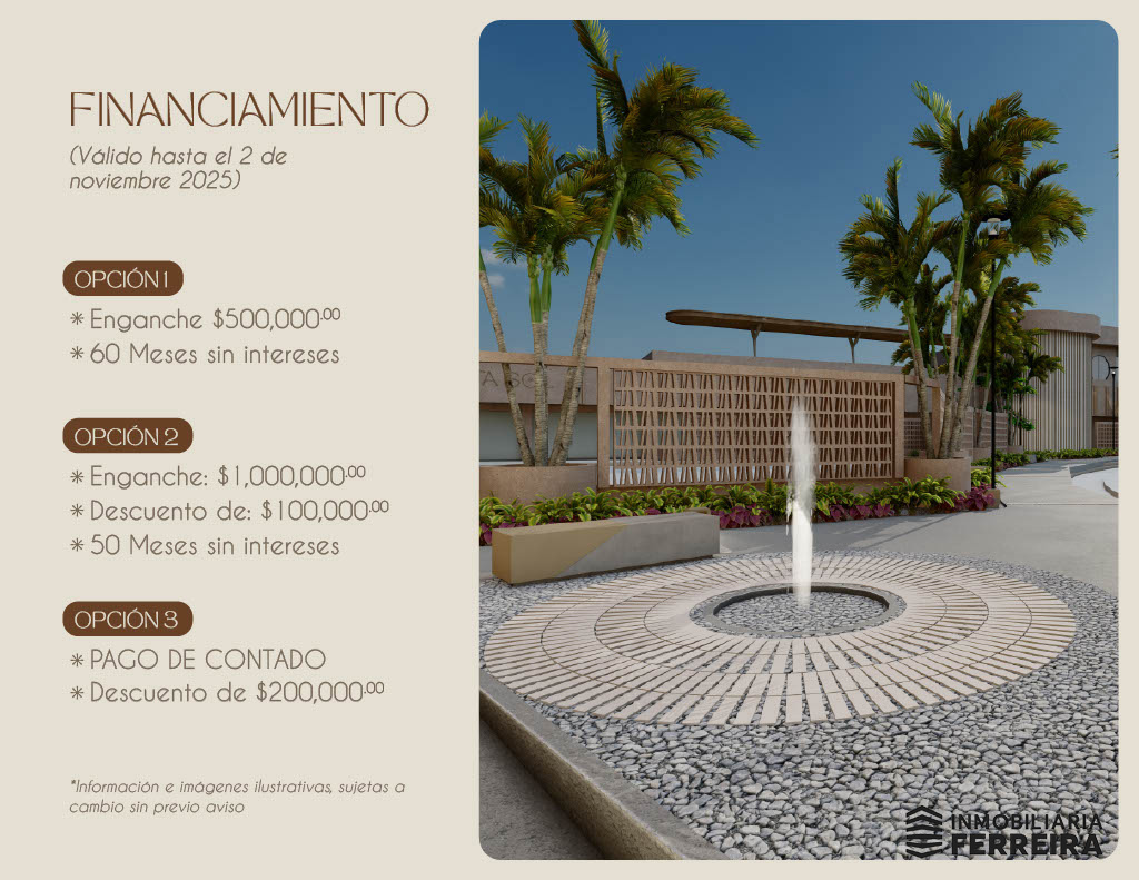 12. Financiamiento