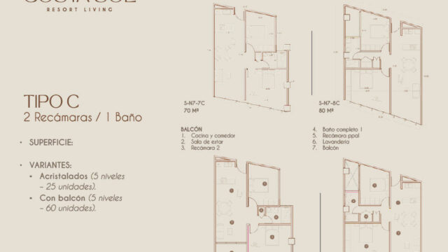 9. Tipo C